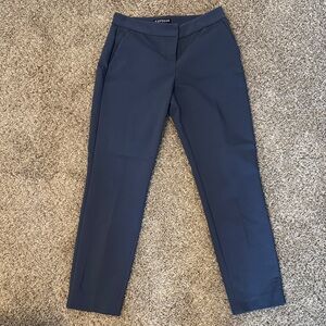 Express Slim Blue Work Pants